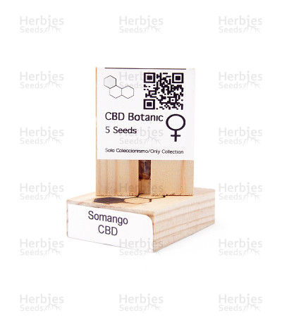 Somango CBD