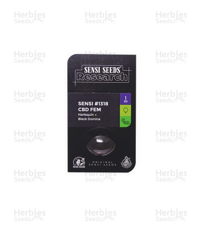Sensi #1318 CBD