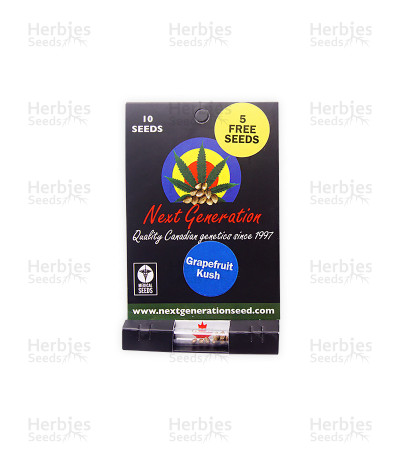 Grapefruit Kush — Next Generation Seeds