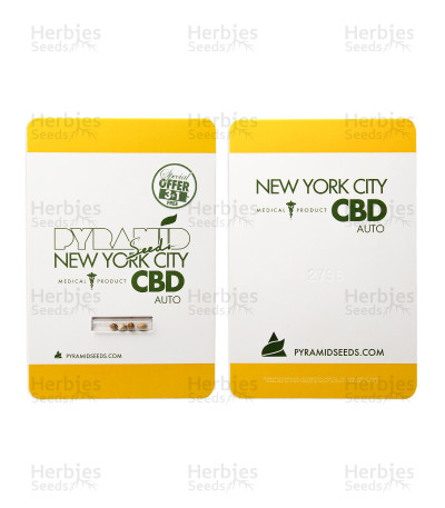 New York City Auto CBD