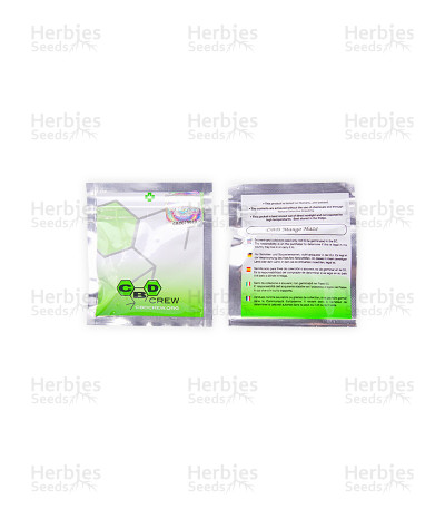 Mango Haze CBD
