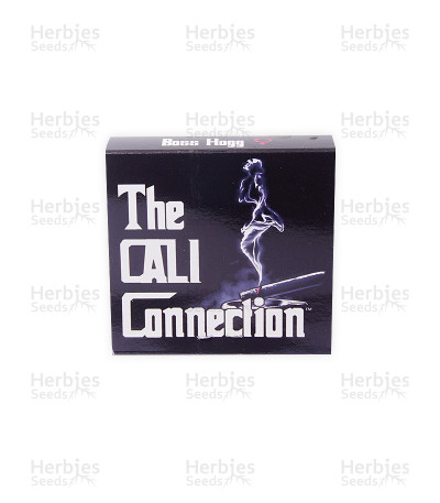 Boss Hogg — Cali Connection Seeds