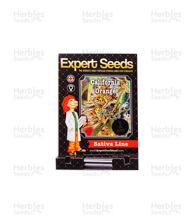 California Orange — Expert Seeds