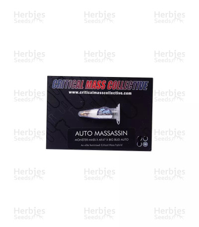 Massassin Auto