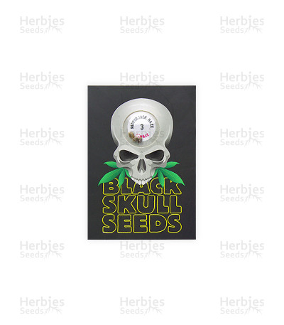 Pepper Jack Haze — Blackskull Seeds