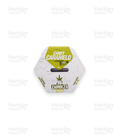 Candy Caramelo