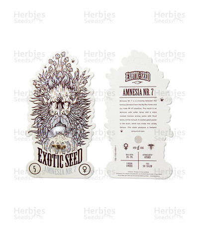 Amnesia #7 — Exotic Seeds