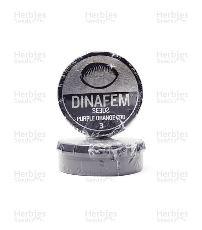 Purple Orange CBD — Dinafem Seeds
