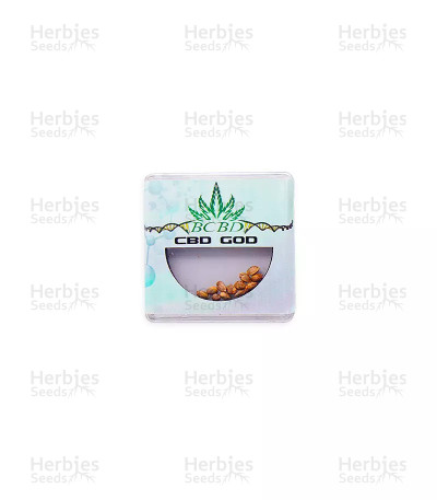 God CBD