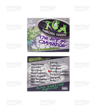 Strawberry Daiquiri — TGA Subcool Seeds (SubCool’s The Dank)