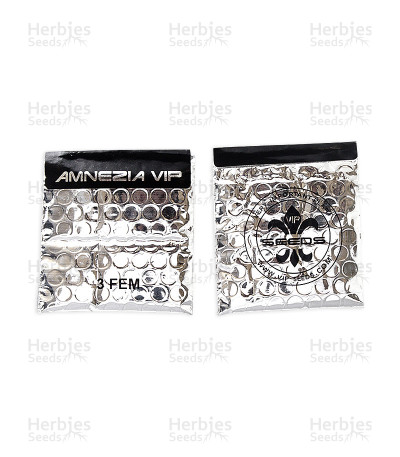 Amnezia VIP — VIP Seeds
