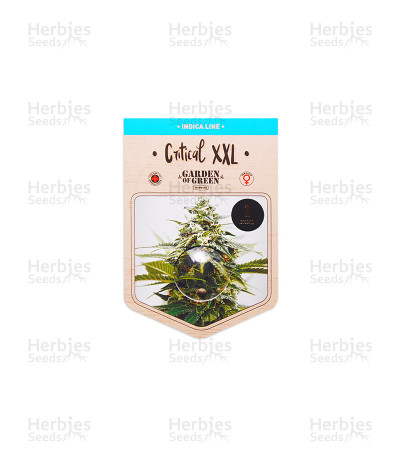 Critical XXL