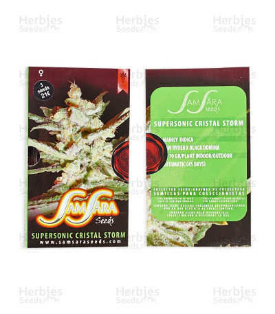 Supersonic Cristal Storm Auto — Samsara Seeds