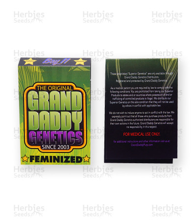 Bay 11 — Grand Daddy Purp