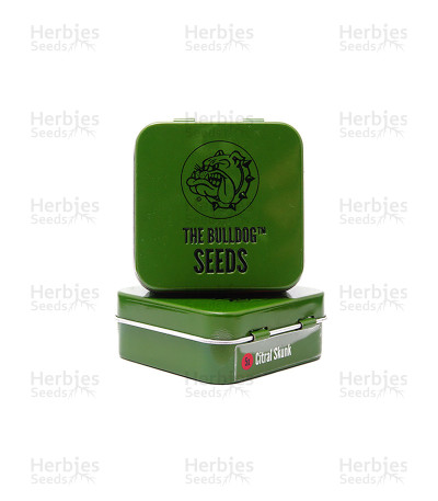 Citral Skunk — The Bulldog Seeds