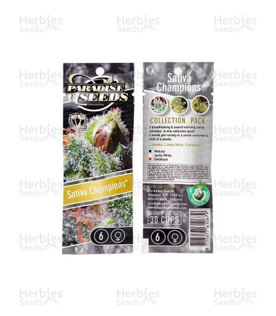 Sativa Champions Pack — Paradise Seeds