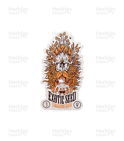 Tangerine Kush — Exotic Seeds
