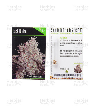 Jack Widow — Seedmakers
