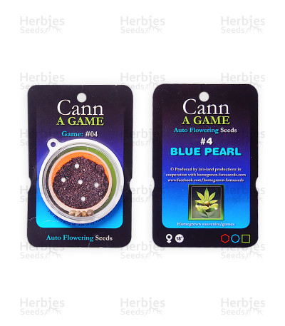 Blue Pearl Auto