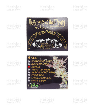 Hurkle — TGA Subcool Seeds (SubCool’s The Dank)