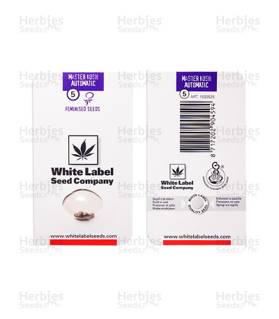 Master Kush Auto — White Label Seed Company