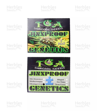 Shangri La — TGA Subcool Seeds (SubCool’s The Dank)