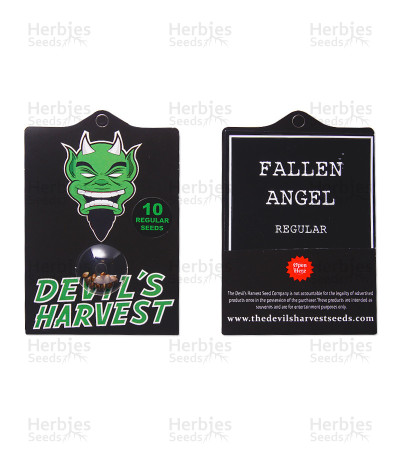 Fallen Angel