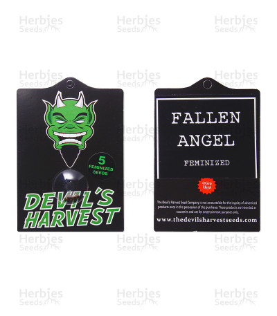 Fallen Angel — Devils Harvest Seeds