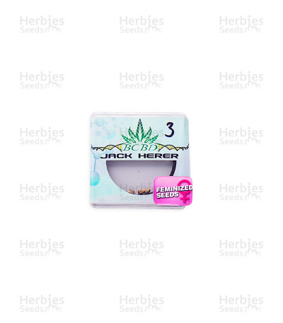 Jack Herer
