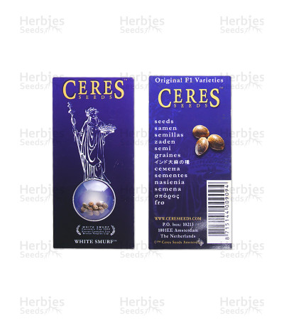 White Smurf — Ceres Seeds