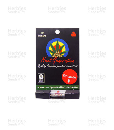 Dynamite — Next Generation Seeds