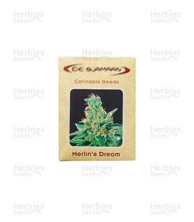 Merlin's Dream — De Sjamaan Seeds
