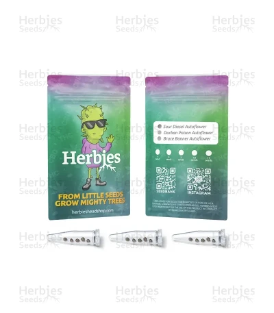 Classic Auto Mix Pack Seeds From Herbies — Seedkeepers