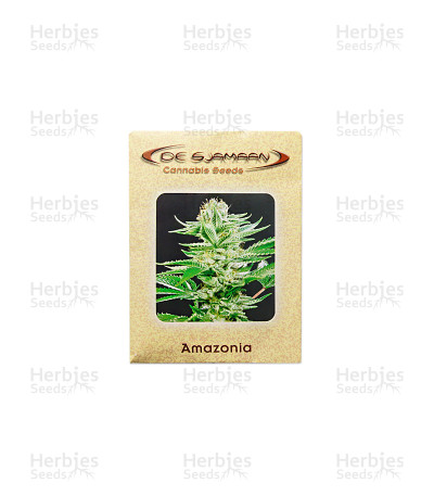 Amazonia — De Sjamaan Seeds