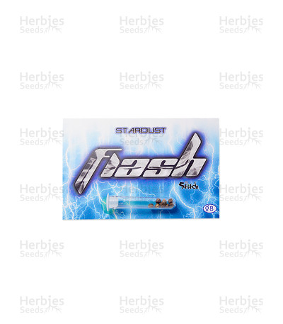 Stardust Auto regular — Flash Seeds Bank