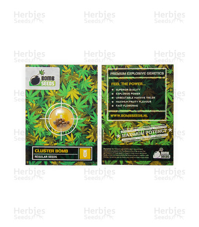 Cluster Bomb regular — Bomb Seeds
