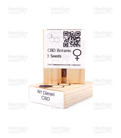 New York Diesel CBD