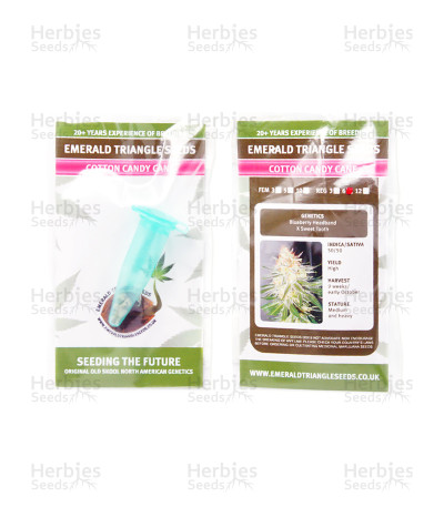Cotton Candy Cane — Emerald Triangle Seeds