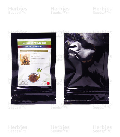 Critical Sour Diesel — Emerald Triangle Seeds
