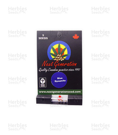 Blue Dynamite — Next Generation Seeds