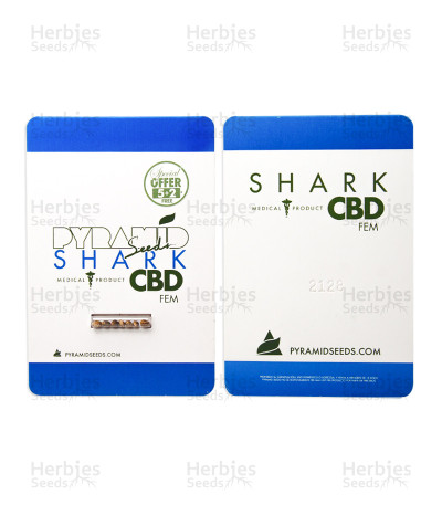 Shark CBD — Pyramid Seeds