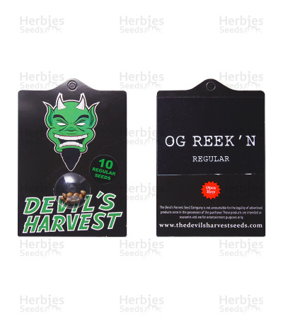 OG Reekn — Devils Harvest Seeds