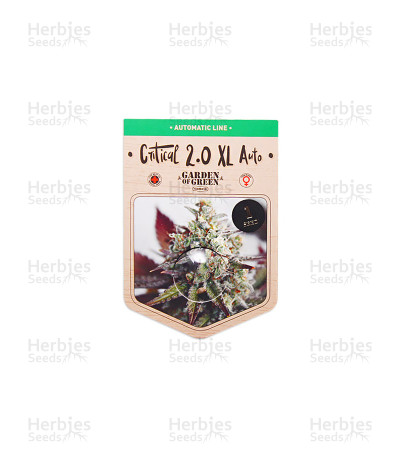 Critical 2.0 XL
