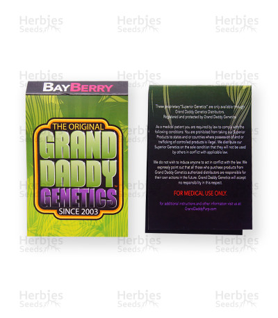 Bay Berry