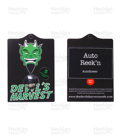 Auto Reek'N — Devils Harvest Seeds
