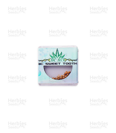 BC Sweet Tooth — BC Bud Depot Seeds