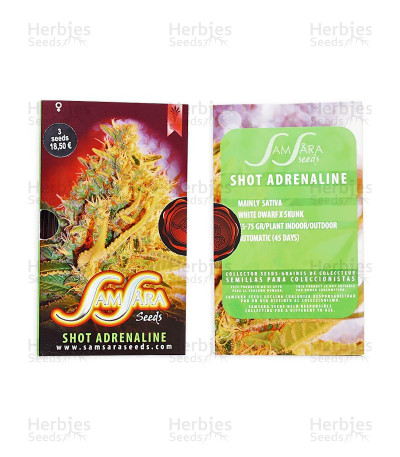 Shot Adrenaline Auto — Samsara Seeds
