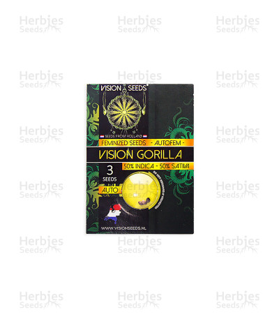 Vision Gorilla Auto — Vision Seeds