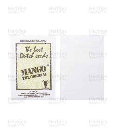 Mango