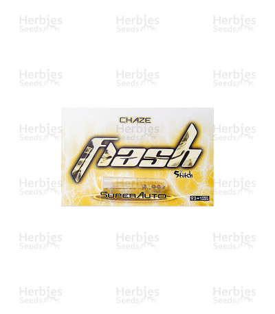 Chaze Auto — Flash Seeds Bank